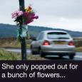 thumbnail_seatbelt_flowers1